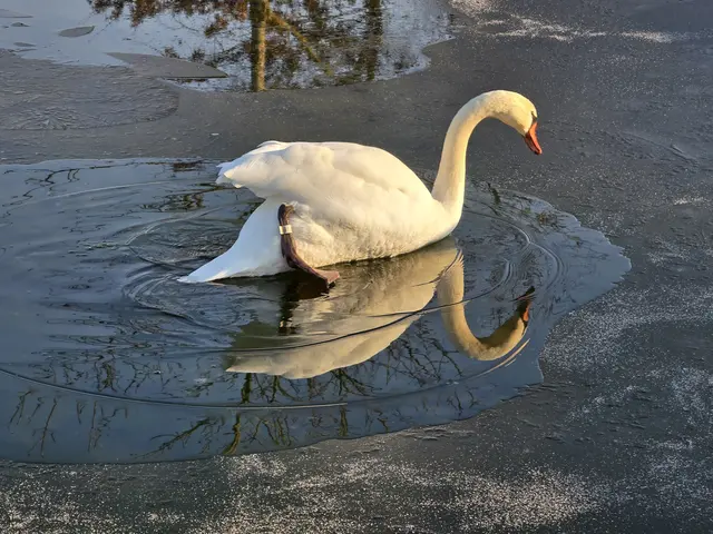 Foto: Heidrun Rosenberger