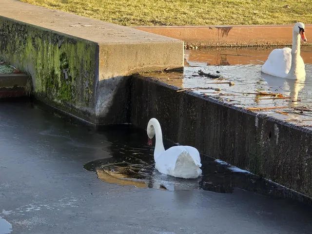 Foto: Heidrun Rosenberger