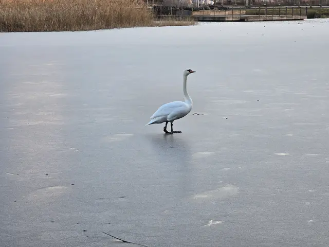 Foto: Heidrun Rosenberger