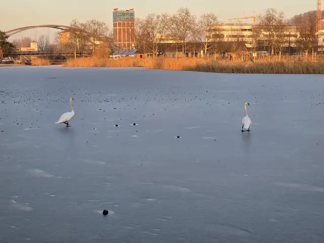 Foto: Heidrun Rosenberger