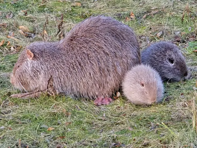 Foto: Heidrun Rosenberger