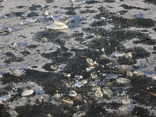 Foto: Heidrun Rosenberger