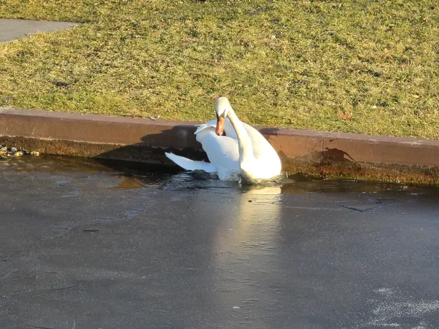 Foto: Heidrun Rosenberger