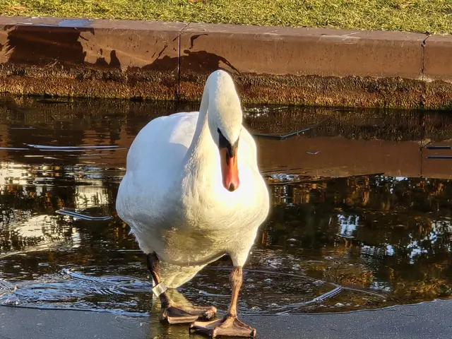 Foto: Heidrun Rosenberger