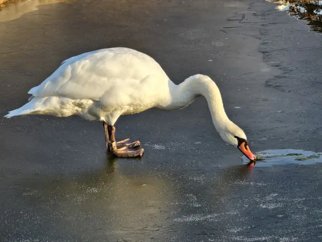 Foto: Heidrun Rosenberger