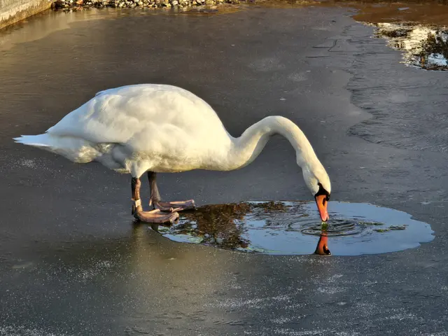 Foto: Heidrun Rosenberger