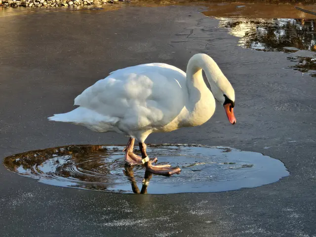 Foto: Heidrun Rosenberger