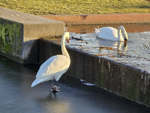 Foto: Heidrun Rosenberger