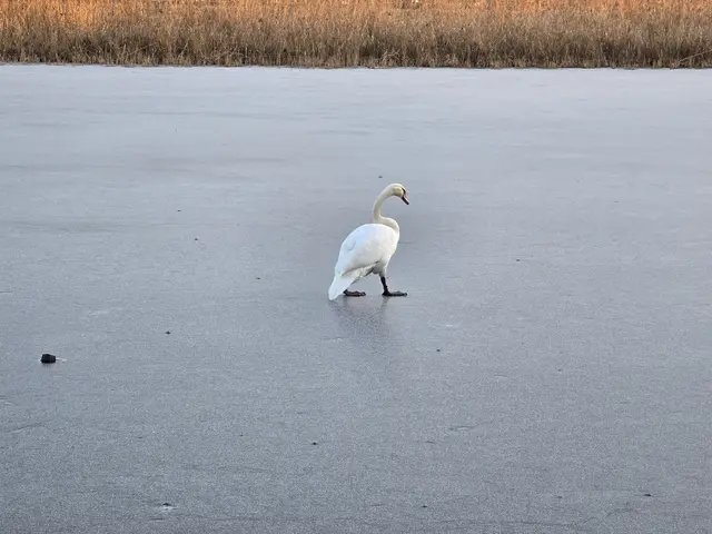 Foto: Heidrun Rosenberger