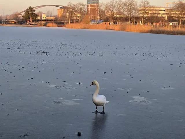 Foto: Heidrun Rosenberger