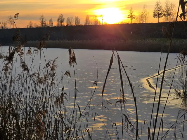 Foto: Heidrun Rosenberger