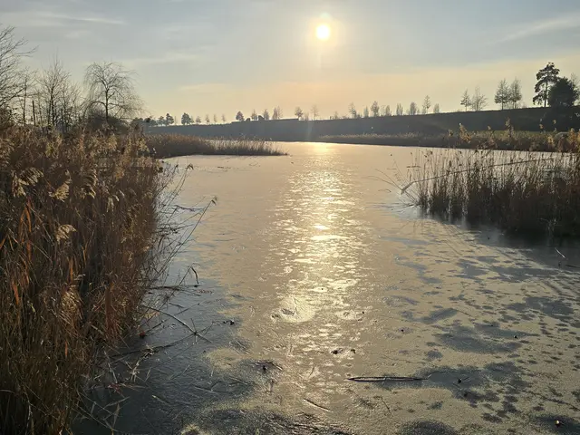 Foto: Heidrun Rosenberger