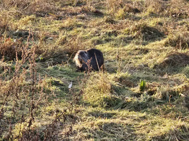 Foto: Heidrun Rosenberger