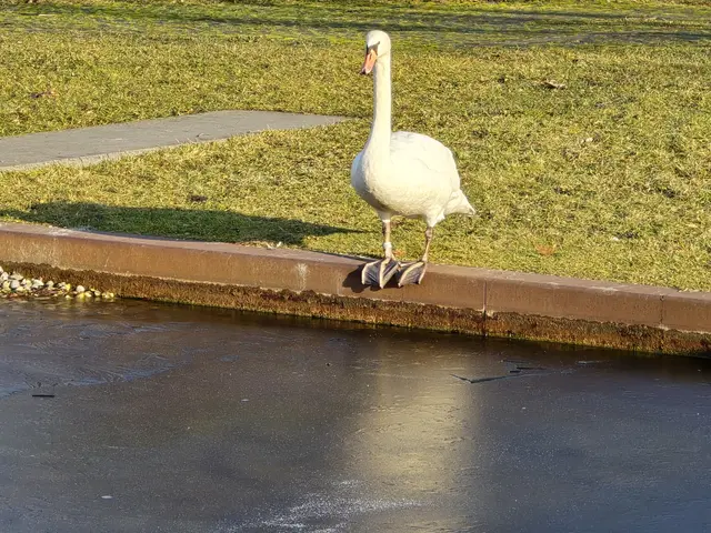 Foto: Heidrun Rosenberger