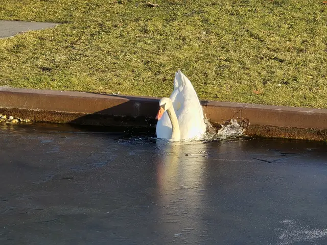 Foto: Heidrun Rosenberger