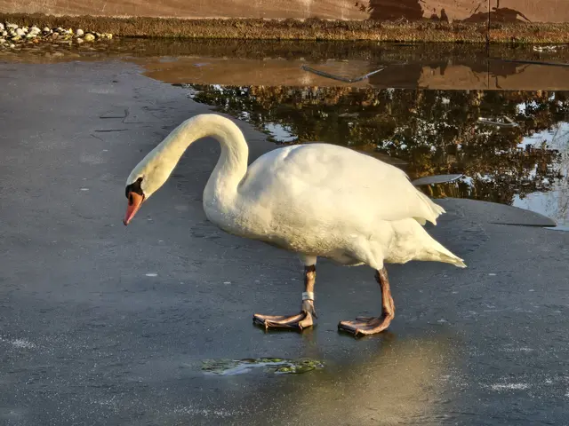 Foto: Heidrun Rosenberger