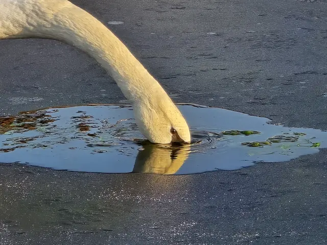 Foto: Heidrun Rosenberger