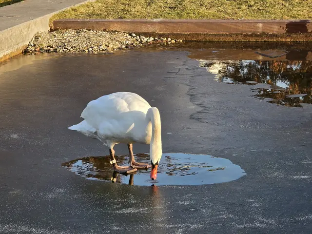 Foto: Heidrun Rosenberger