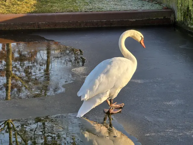 Foto: Heidrun Rosenberger