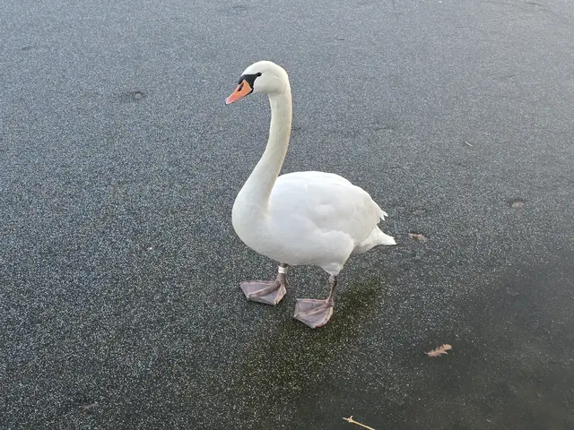 Foto: Heidrun Rosenberger