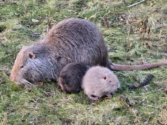 Foto: Heidrun Rosenberger