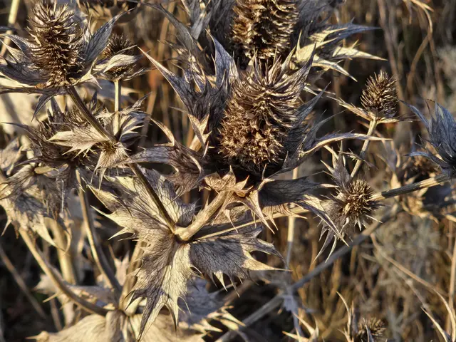 Foto: Heidrun Rosenberger