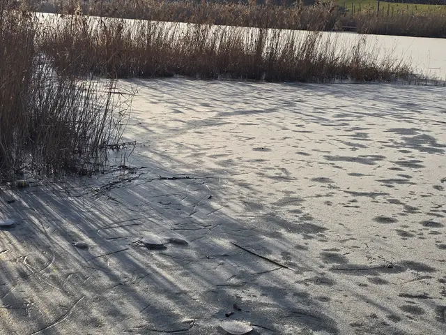 Foto: Heidrun Rosenberger