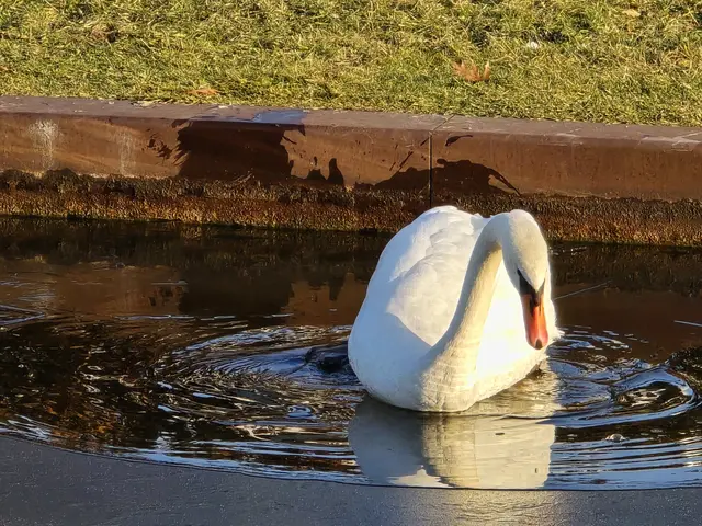 Foto: Heidrun Rosenberger