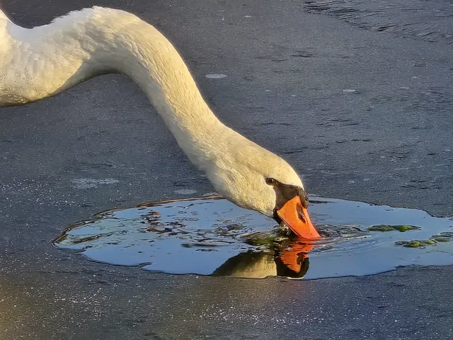 Foto: Heidrun Rosenberger
