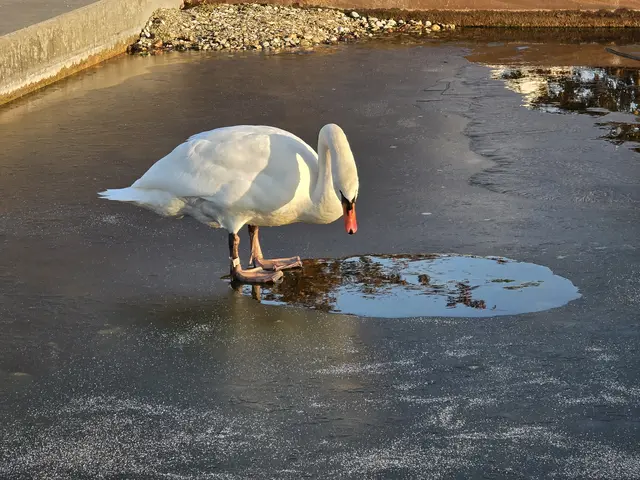 Foto: Heidrun Rosenberger