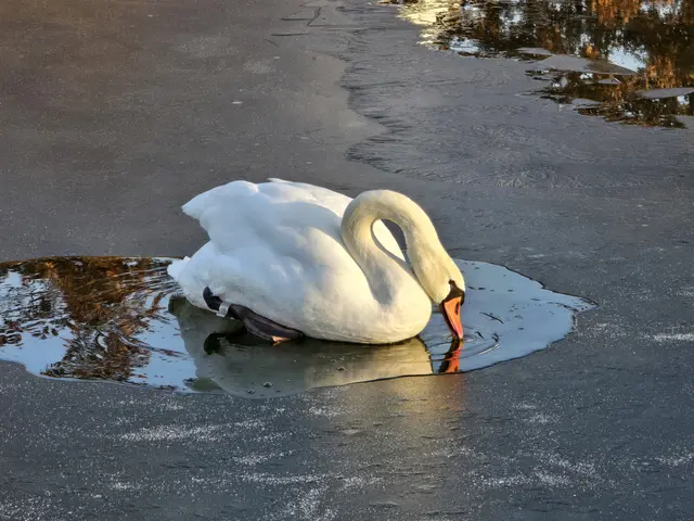 Foto: Heidrun Rosenberger