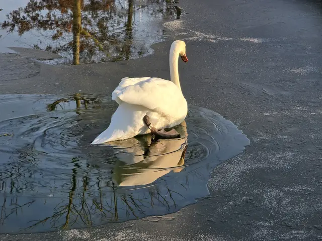 Foto: Heidrun Rosenberger