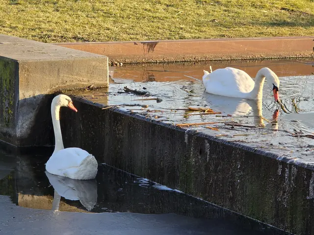 Foto: Heidrun Rosenberger
