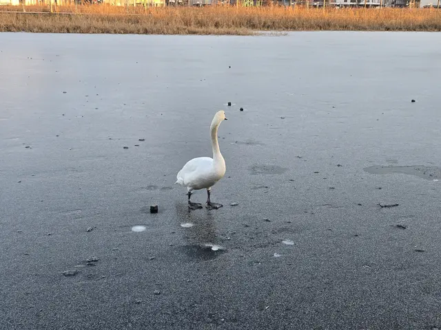 Foto: Heidrun Rosenberger