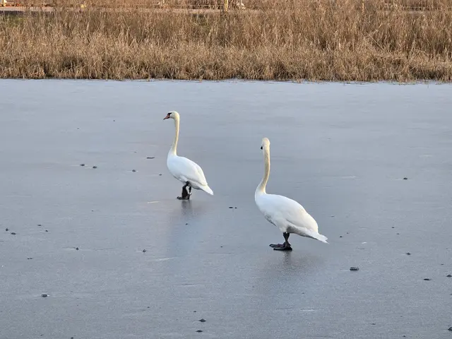 Foto: Heidrun Rosenberger