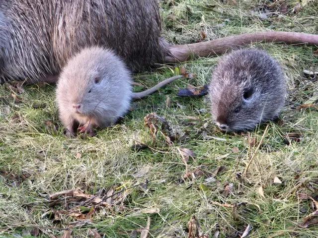 Foto: Heidrun Rosenberger