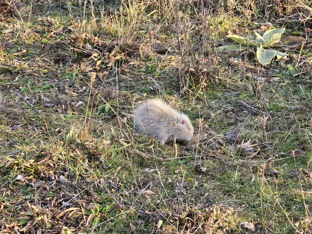 Foto: Heidrun Rosenberger