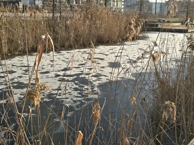 Foto: Heidrun Rosenberger