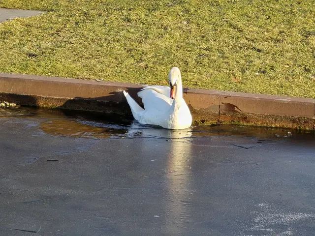 Foto: Heidrun Rosenberger