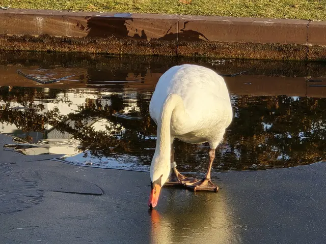 Foto: Heidrun Rosenberger