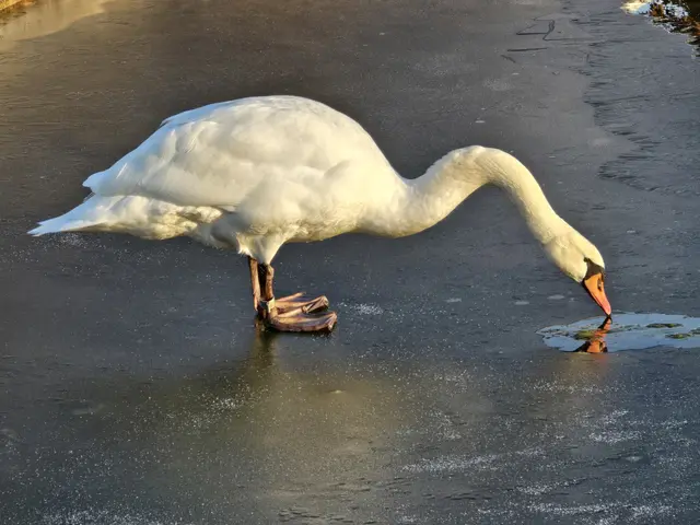 Foto: Heidrun Rosenberger