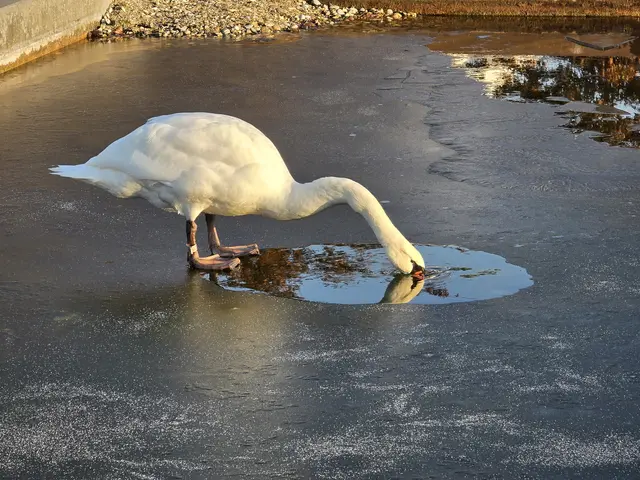 Foto: Heidrun Rosenberger