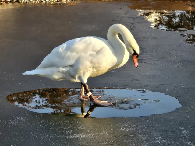 Foto: Heidrun Rosenberger