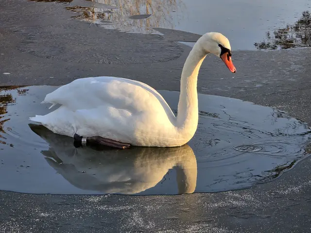 Foto: Heidrun Rosenberger