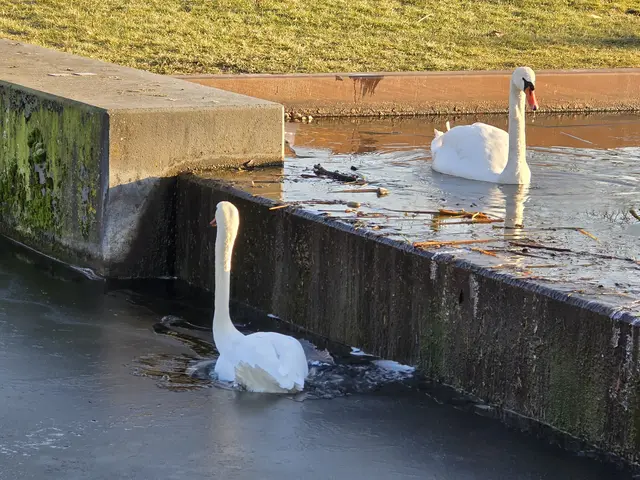 Foto: Heidrun Rosenberger