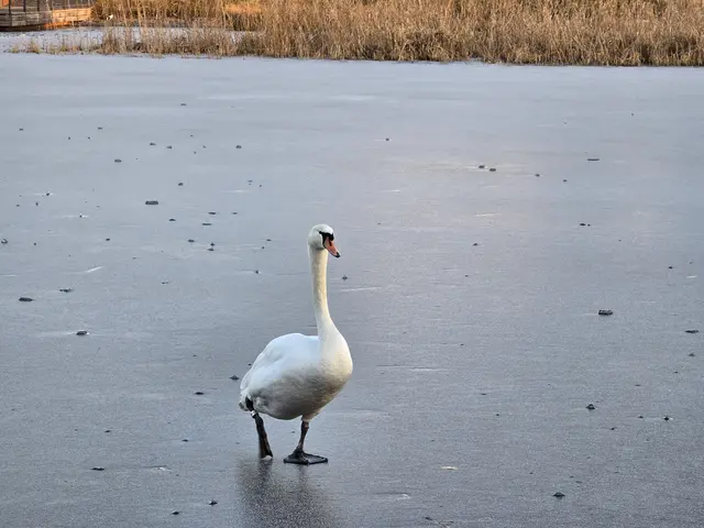 Foto: Heidrun Rosenberger