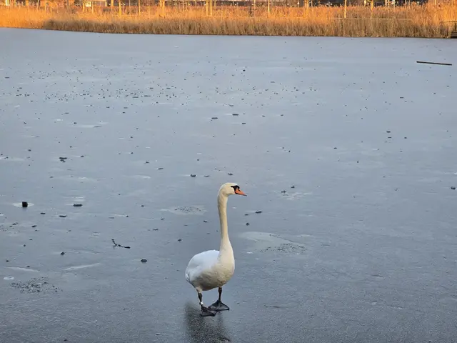 Foto: Heidrun Rosenberger
