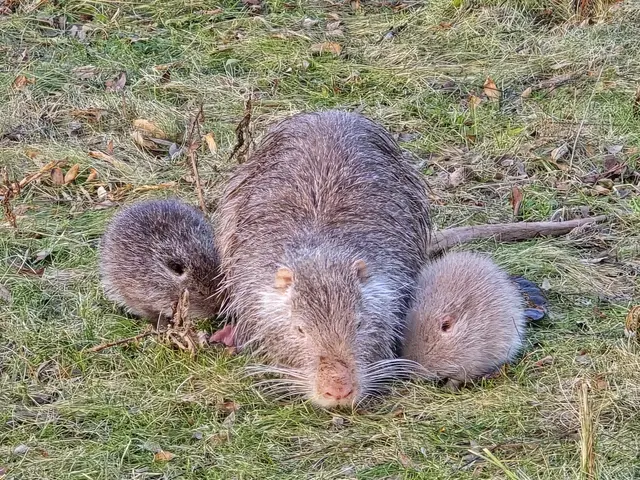 Foto: Heidrun Rosenberger