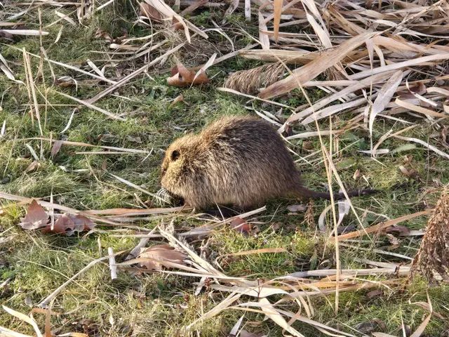 Foto: Heidrun Rosenberger
