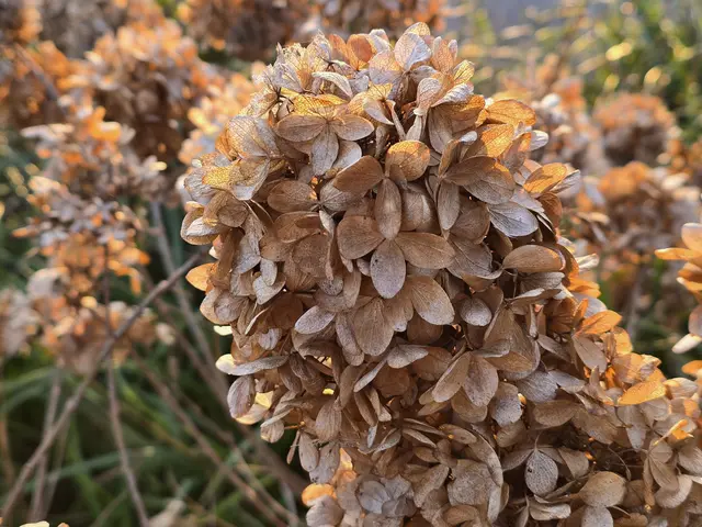 Foto: Heidrun Rosenberger